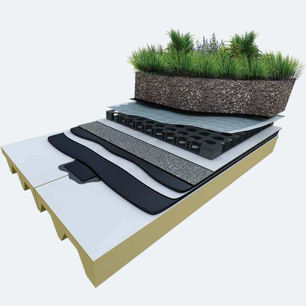 Extensive Green Roof System