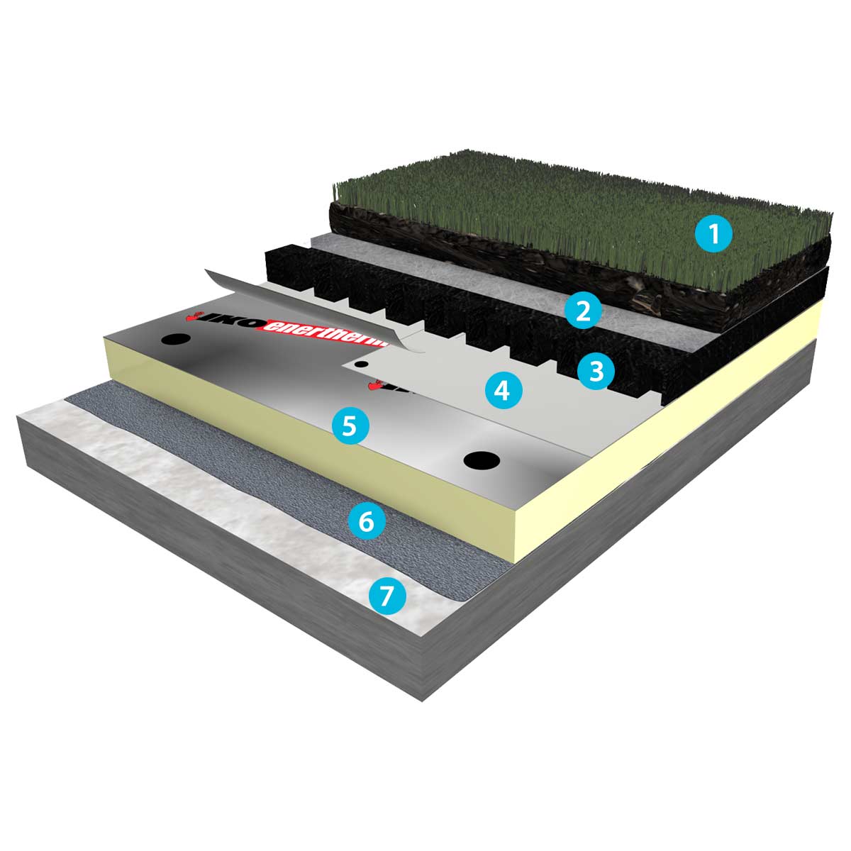 Single Ply Roofing Green Roof features